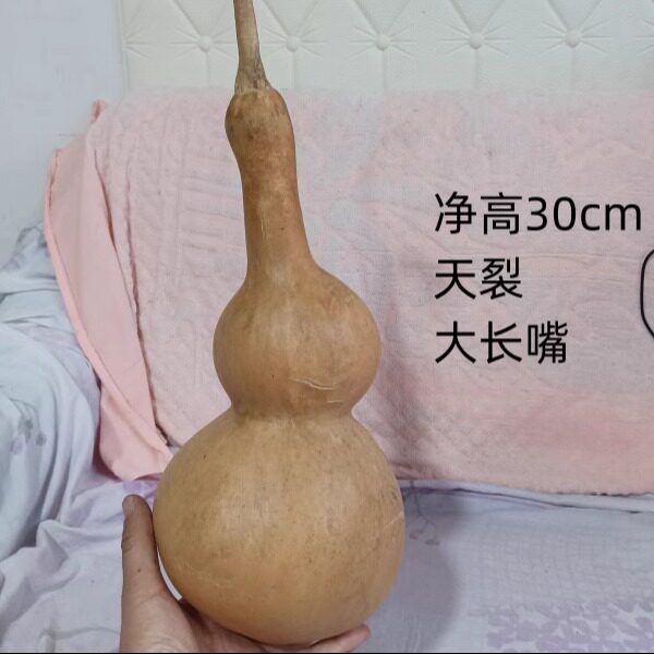 一个天然异形天裂大长嘴葫芦t127号