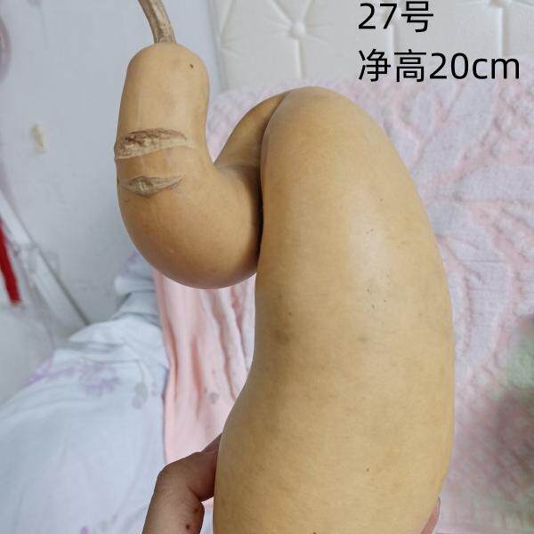 一个天然异形天裂葫芦27号