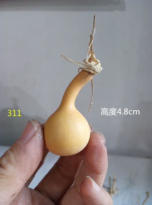 310号手捻葫芦一个天然异形可爱独头小葫芦收藏把玩文玩