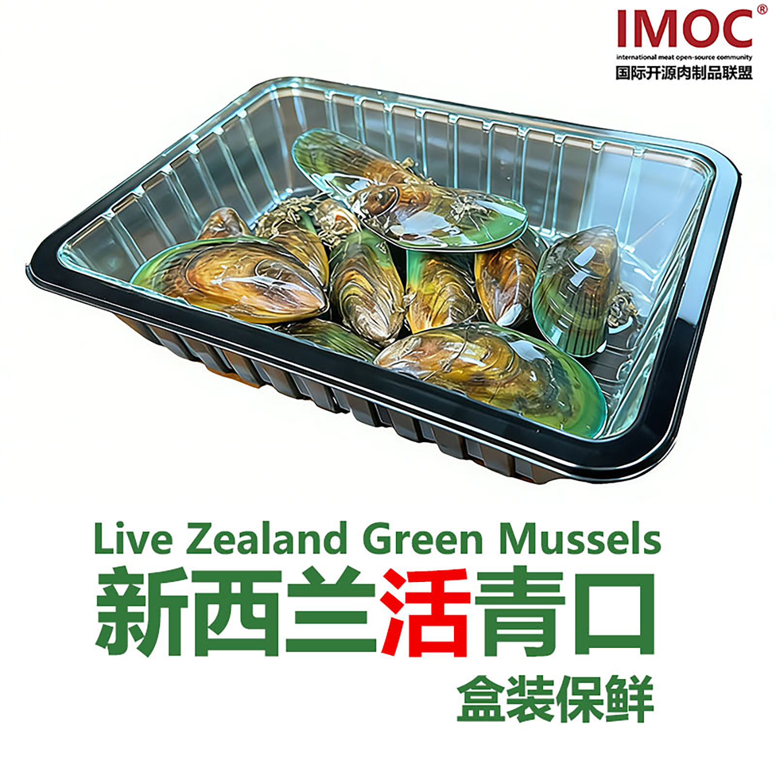IMOC青口贝新西兰鲜活图片