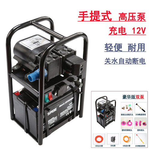 双核12v高压管隔膜泵小型电动