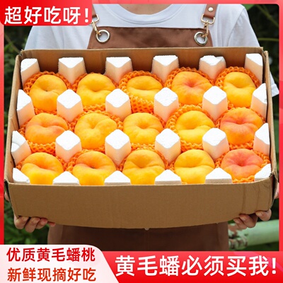 蒙阴黄毛蟠桃5斤新鲜桃子当季脆甜黄肉桃水密桃黄心毛桃大果包邮3