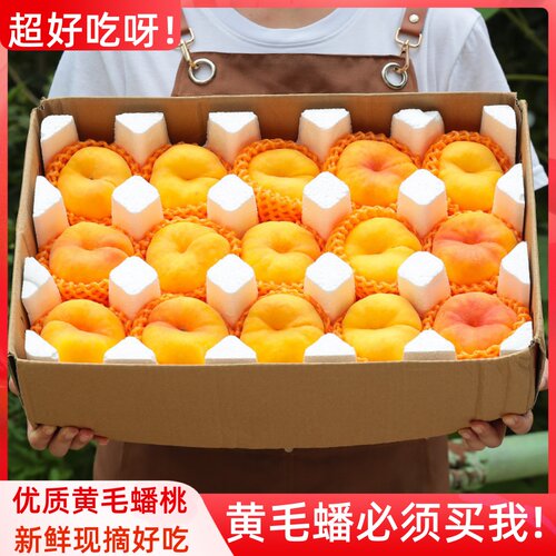 蒙阴黄毛蟠桃5斤新鲜桃子当季脆甜黄肉桃水密桃黄心毛桃大果包邮3