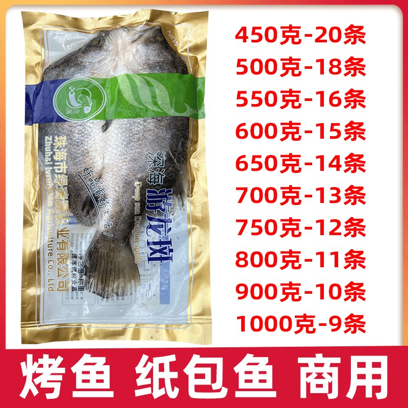 游龙斑开背金目鲈鱼盲曹鱼新鲜冷冻商用清蒸烤鱼半成品腌制餐饮