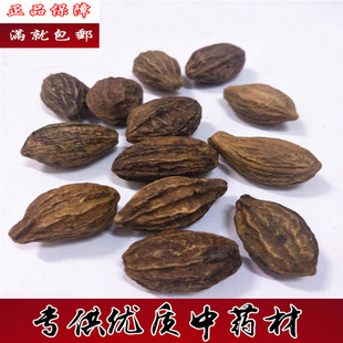 中药材柯子正品 金柯子500克包邮 纯天然野生大金果 另有柯子肉