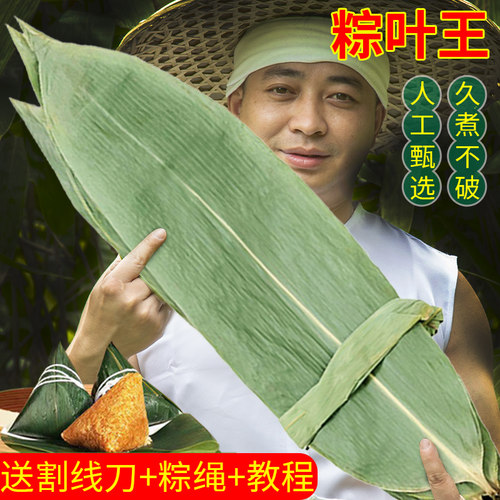 粽叶新鲜粽子叶野生棕叶批发