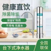 史蒂夫净水器家用直饮厨房不锈钢台下自来水龙头过滤器 台下款