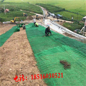 盖土绿化防尘公路河道堤坝坡面种植保护园林草坪保护三维植被网