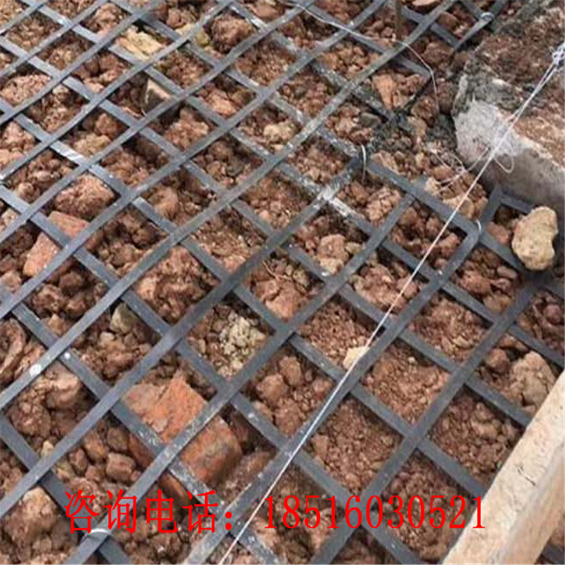 加筋钢塑复合土工格栅堆场机场跑道码头挡土墙建筑路基加固防裂用