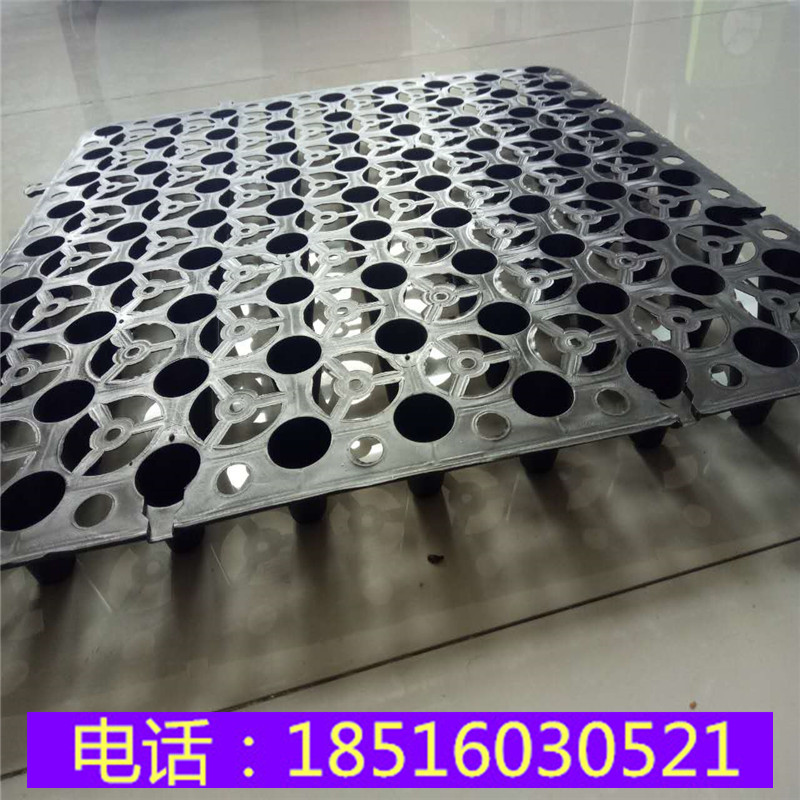 小区绿化工程HDPE蓄排水板屋顶种菜阻根滤水板车库隔热绿植疏水板