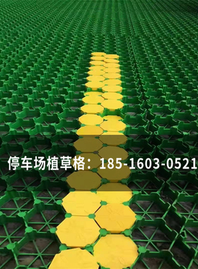 护坡绿色塑料植草格停车场消防登高面人行道路园艺绿化抗压草坪砖