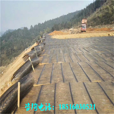 山体护坡挡土墙涵洞加固河岸旧沥青软土地基加筋防裂玻纤土工格栅