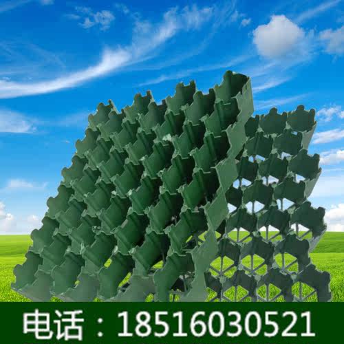 停车场植草格小区停车位道路公园采摘园走道设计耐压塑料草坪砖
