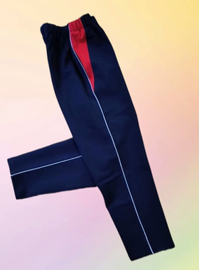定制学生校服裤子藏蓝色一条杠红三角小学初高中直筒春秋宽松校裤