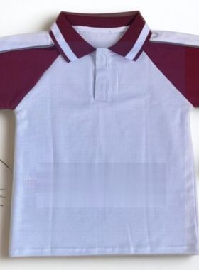 夏季短袖中小学生校服T恤白色酒红袖纯棉宽松运动休闲POLO衫半袖