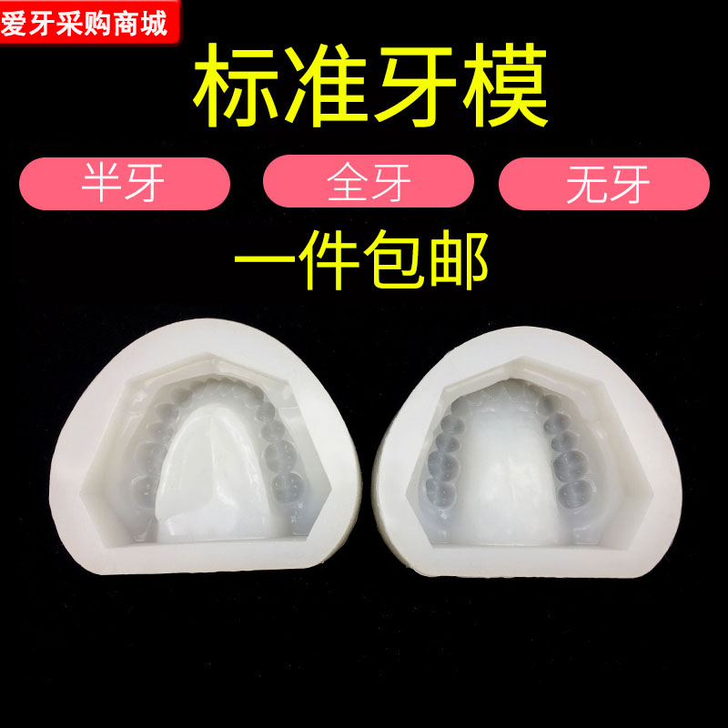分体软硅橡胶全口标准有牙阴模