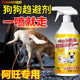 驱狗喷剂药防狗乱拉屎尿专用药长效室外强力驱狗神器2025新款 喷雾