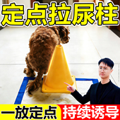 狗狗定点上厕所神器立柱防乱拉屎尿引导泰迪金毛博美比熊大小型犬