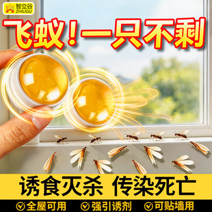 飞蚂蚁药家用全窝端家用飞蚁防治专用杀虫剂灭大水蚁涨水蛾白蚁灯