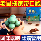 老鼠驱赶神器家用2026新款 樟脑丸特效驱去捕鼠臭丸车用防老鼠防鼠