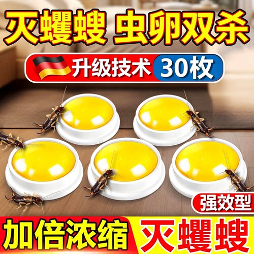 蠼螋杀虫剂家用灭净剪刀虫夹甲板虫厕所卫生间室内去除小飞虫神器