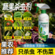 蔬菜杀虫剂蚜虫菜虫除虫剂青菜辣椒苗杀虫药非无毒菜园防生虫专用