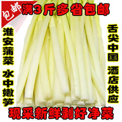 蒲菜5月份新鲜时令野菜茭白蒲笋蒲儿菜净菜淮安蒲菜特产酒店食材