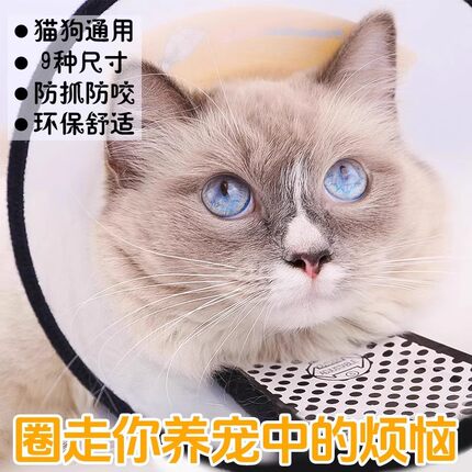 伊丽莎白圈宠物头套狗圈猫圈狗脖套宠物防咬打针圈过功能宠物头罩
