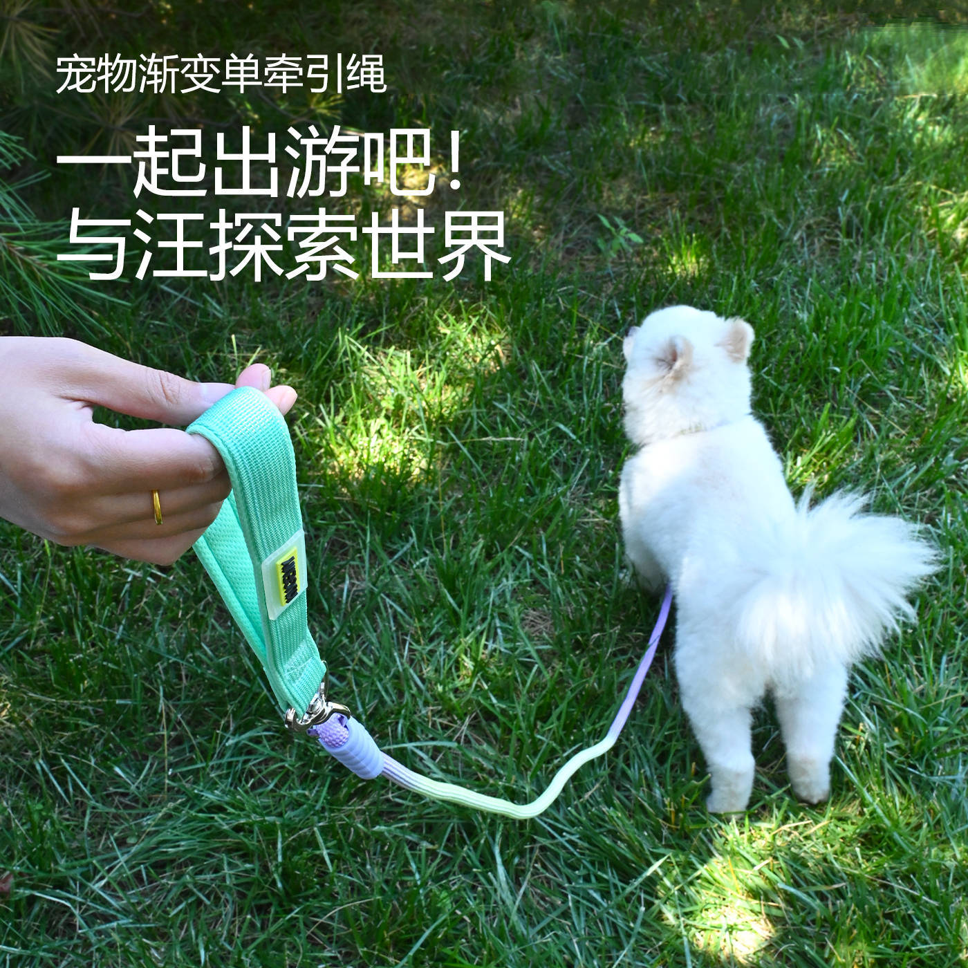 渐变安全狗绳泰迪比熊金毛外出