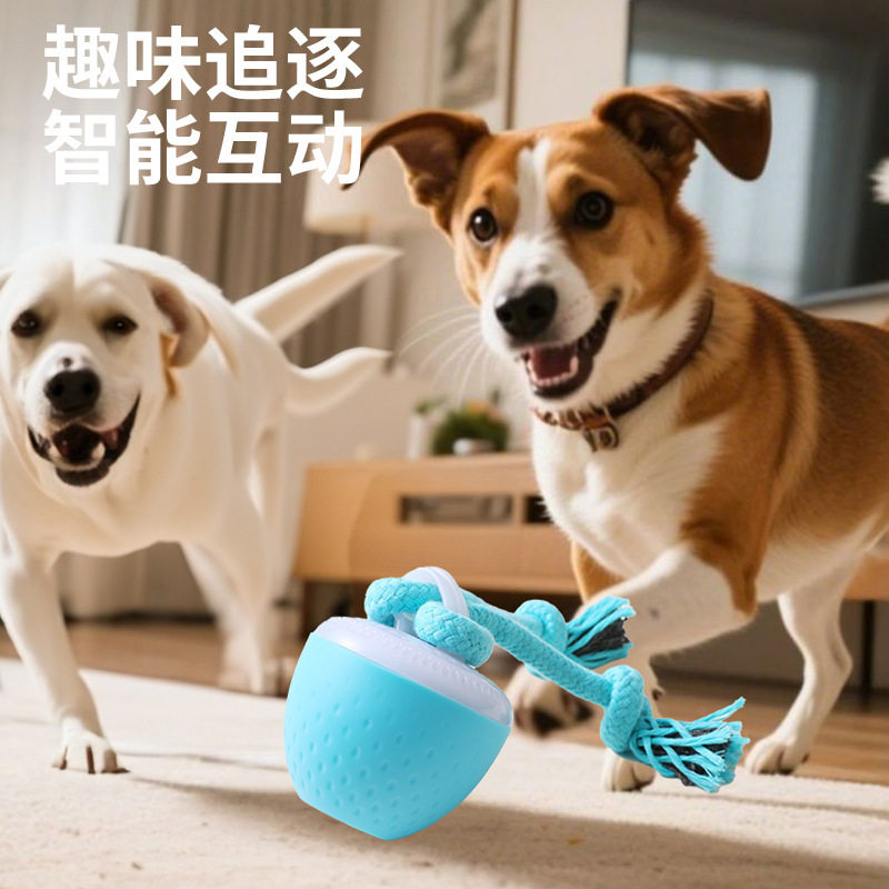 智能耐咬逗绳子狗球磨牙发声玩具宠物智能滚动球电动狗狗解闷