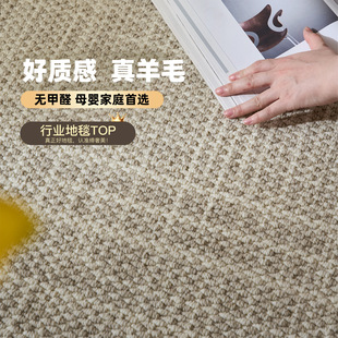 进口纯羊毛地毯轻奢高级感客厅卧室现代简约纯色茶几毯地垫侘寂
