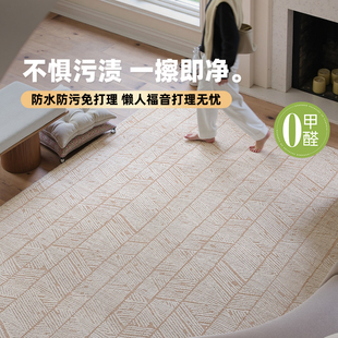 免打理可擦洗 地毯客厅卧室沙发茶几毯防水防污耐脏高级感2025新款