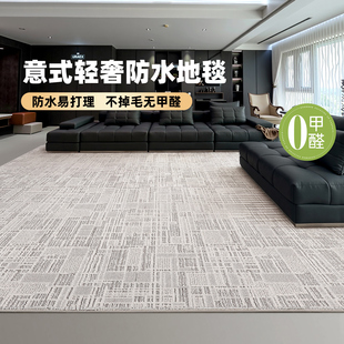 免打理可擦 地毯客厅防水防污耐脏卧室沙发床边高级感灰色2025新款