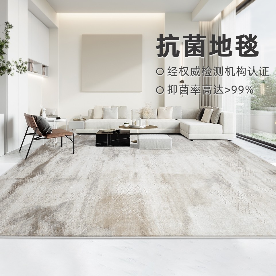 缔奢美抗菌地毯客厅高级轻奢环保加厚简约奶油风侘寂茶几地垫新款