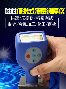 涂层测厚仪 镀层测厚仪 GTS810F铁基膜厚仪 油漆测厚仪