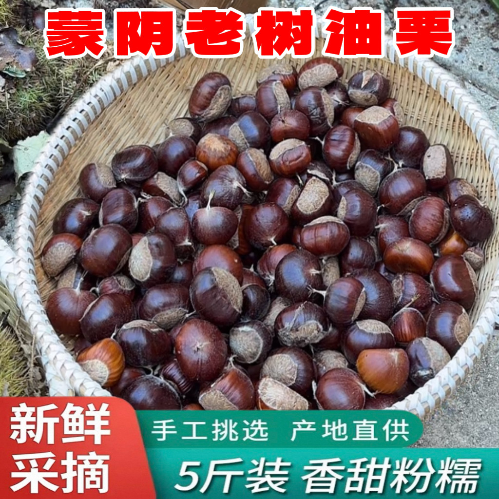 2021新货5斤装沂蒙山新鲜板栗