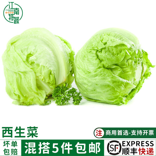球生菜新鲜500g西生菜顺丰生菜包西餐沙拉轻食食材汉堡包蔬菜沙拉