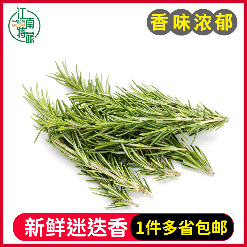 迷迭香新鲜食用玛丽草香料菜西餐牛排烧烤法餐烘焙调料摆盘用包邮