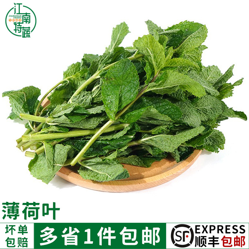 新鲜薄荷叶可食用泡水装饰调酒鸡尾酒烘焙酒吧专用留兰香薄荷叶子