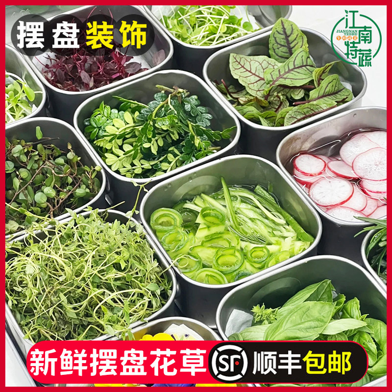 新鲜摆盘装饰花草蛋糕装饰叶子西餐日料刺身寿司点缀三色堇食用花
