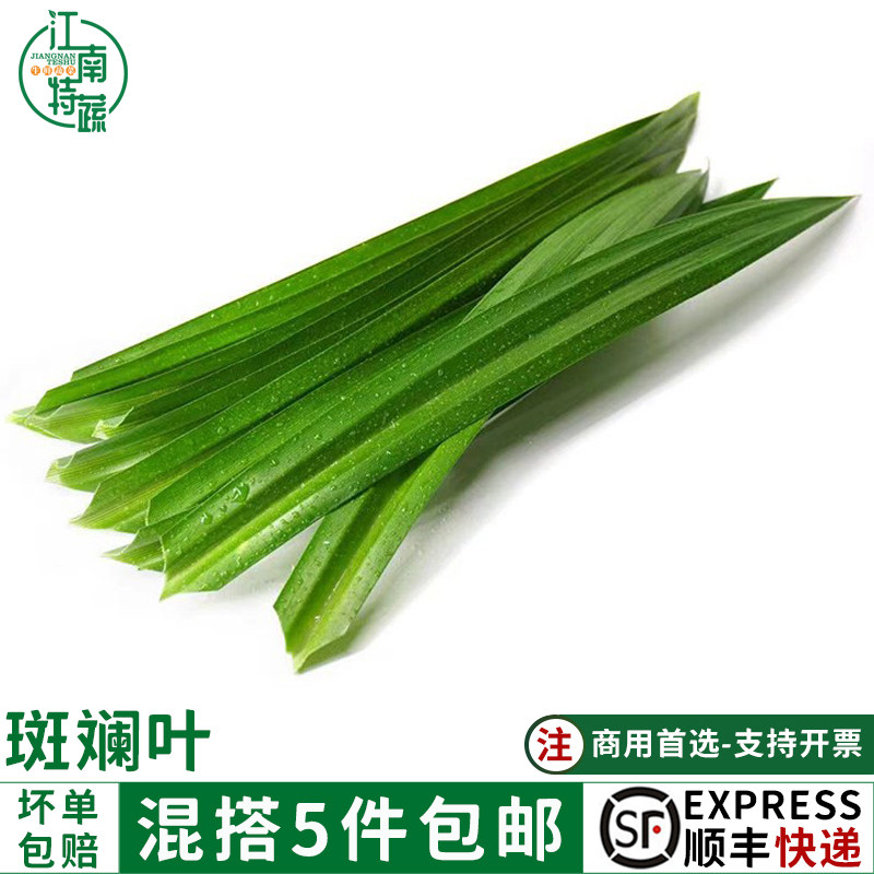 香兰叶新鲜食用斑兰叶