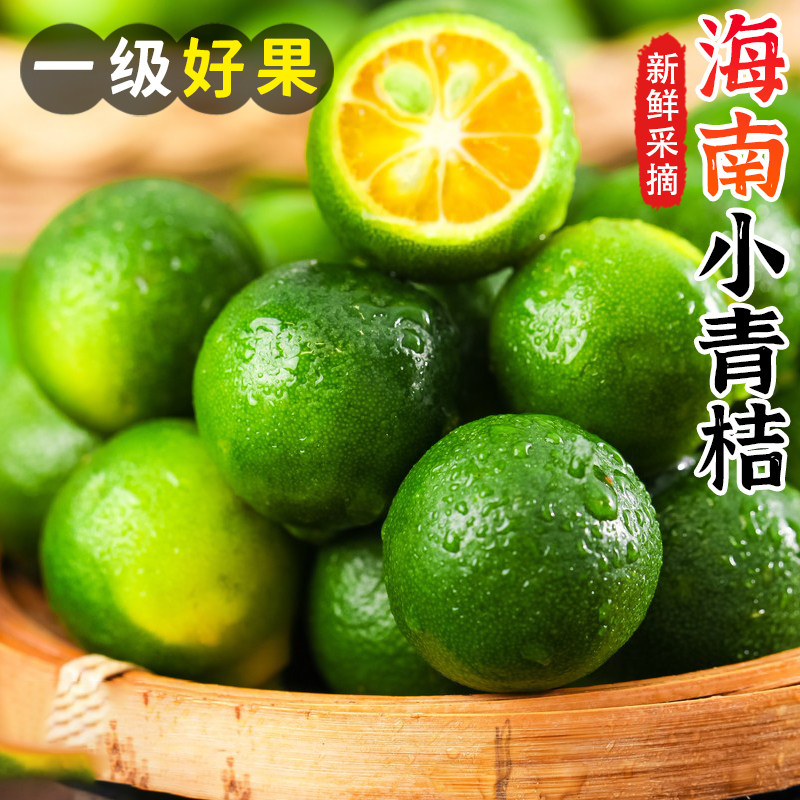 新鲜小金桔现货奶茶专用水果海南小青桔柠檬酸桔仔青金桔一斤包邮