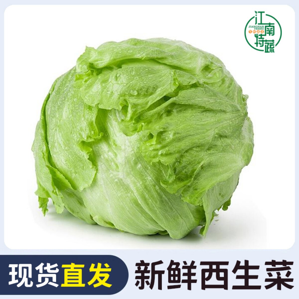 球生菜新鲜西生菜西汉堡包专用生菜球包邮沙拉蔬菜食材球形生菜
