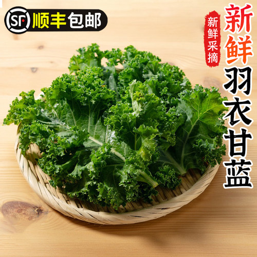 新鲜羽衣甘蓝沙拉食材kale榨汁烤片蔬菜食用轻食蔬菜雨衣甘蓝包邮