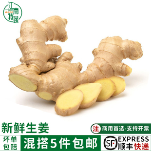 新鲜生姜大黄姜香料调料现挖食用生姜姜母高山姜老姜新鲜农家蔬菜