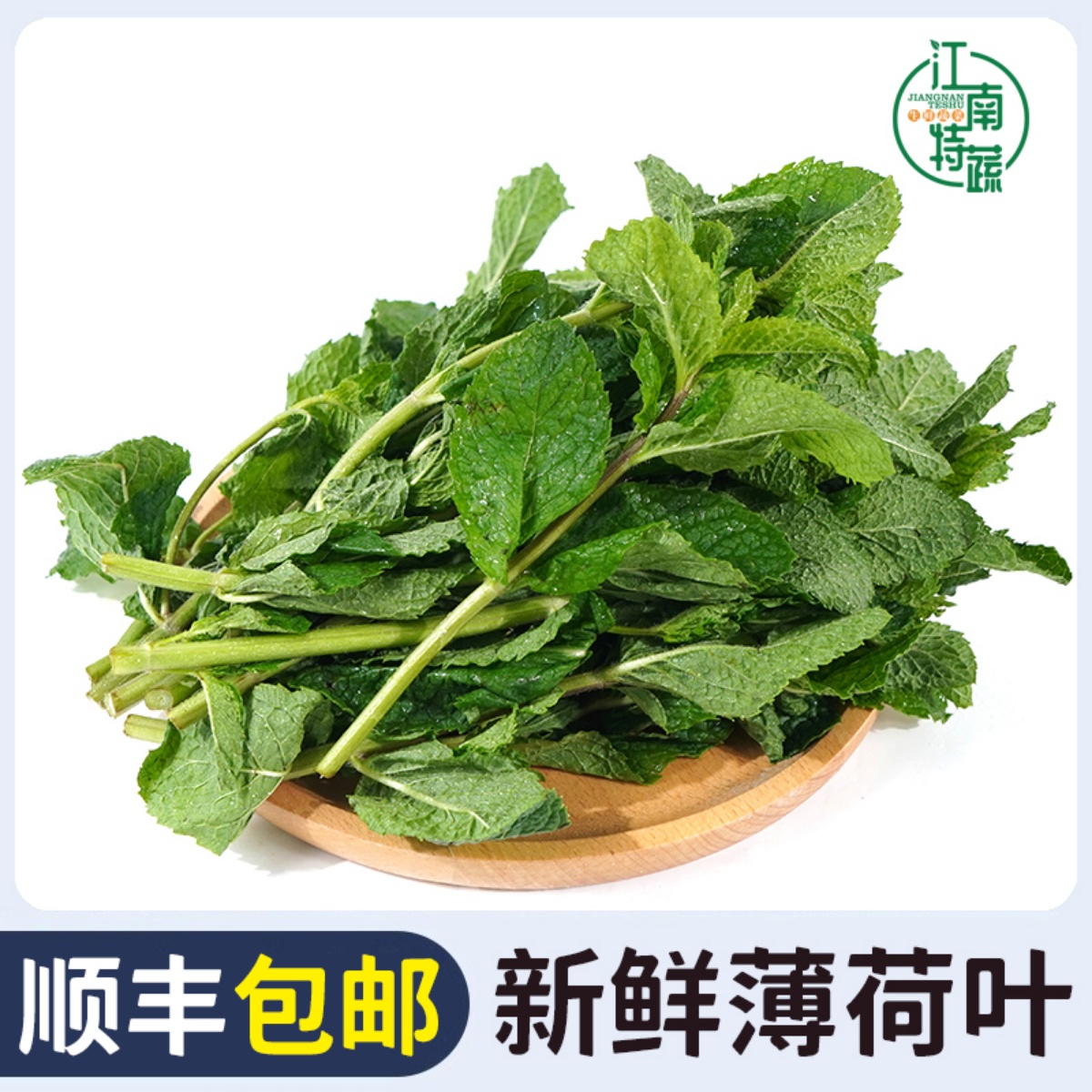 新鲜薄荷叶可食用泡水装饰调酒鸡尾酒烘焙酒吧专用留兰香薄荷叶子