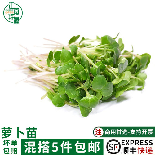 萝卜苗新鲜甜品蛋糕装饰