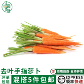 新鲜去叶手指萝卜500g水果萝卜迷你萝卜沙拉食材脆甜红胡萝卜