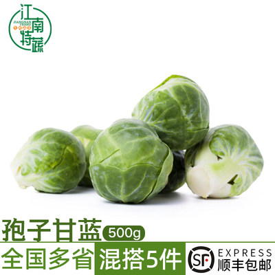 孢子甘蓝500g新鲜卷心菜西餐沙拉