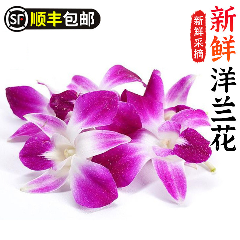 新鲜洋兰花火锅酒店鲜花朵
